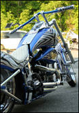 Zebra Bike