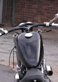 Zebra HD