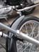 Winged_10