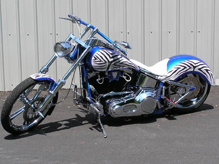 Zebra_04