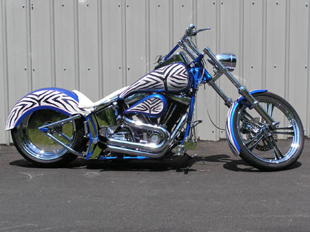 Zebra_05