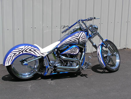Zebra_06