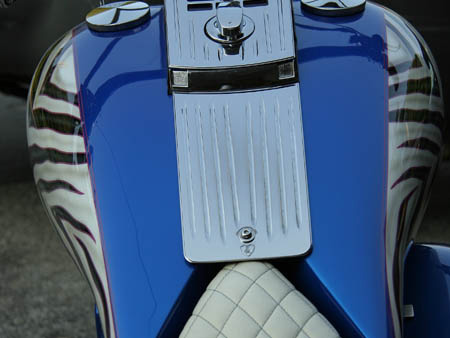 Zebra_08