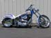 Zebra_05