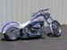 Zebra_06