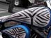 Zebra_11