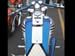 Zebra_12